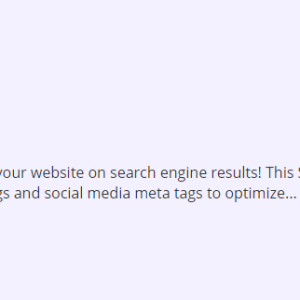 SEO Expert