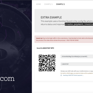 Blockchain Receive Bitcoin Payments API V2