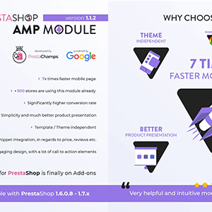 PROFESSIONAL AMP PAGES - ACCELERATED MOBILE PAGES