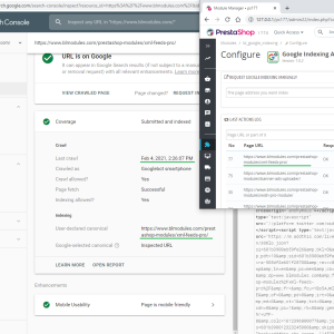 Google Indexing API