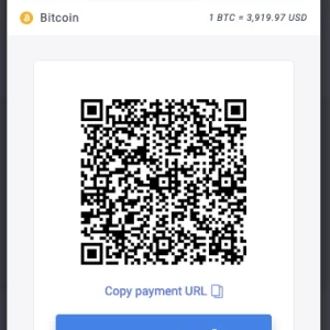 BitPay Payment | Accept Payment in Cryptocurrencies