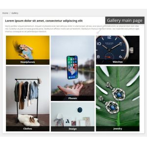 Professional Gallery — Lightbox, SEO & Social Share