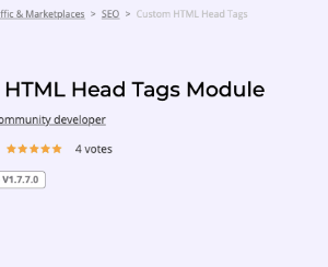 Custom HTML Head Tags