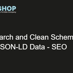 Search and Clean Schema JSON-LD Data - SEO